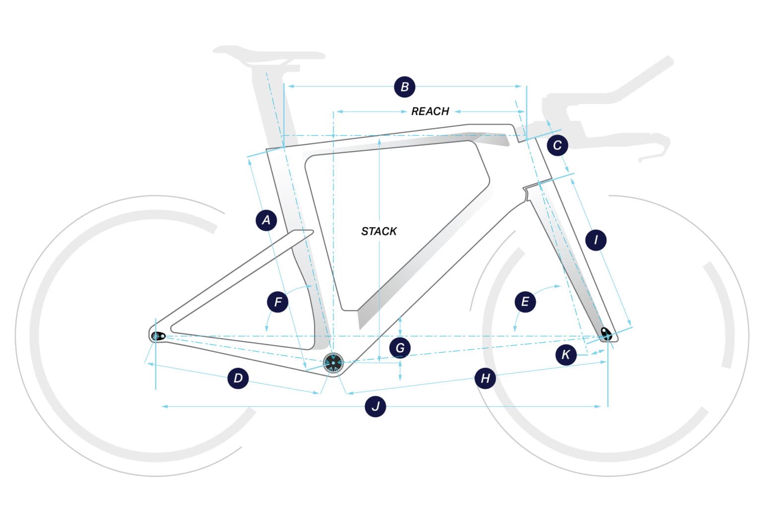 REBORN geometry diagram